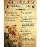 Le migliori guest house a Bari: un intimo confronto tra le strutture più accoglienti della città