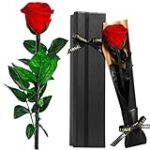 Analisi e confronto dei migliori intimo: Il prezzo delle 100 rose rosse