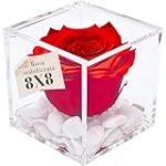 La rosa rossa di Moncalieri: analisi e confronto dei migliori intimo sul mercato